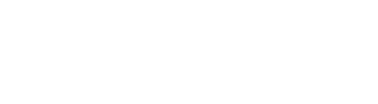 Logo-Dummy-2.png